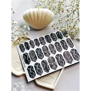 T13 ПЛЕНКИ 2000000023984