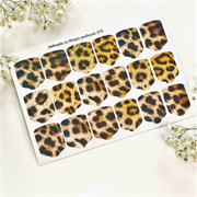 T375 ПЛЕНКИ 2000000024349