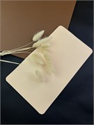 Коврик тренировочный для татуажа (силиконовый) 2000000023571