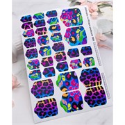 T566 Пленки 2000000034782