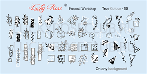 LUCKY ROSE True Colour - 50 2000000020334
