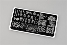 -30% Пластина Swanky Stamping 085 4603745695065