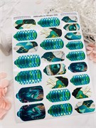 T09 Пленки 2000000034720