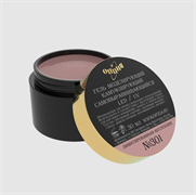 Камуфлирующий самовыравнивающийся гель лимитированный Тон №301 30 мл 4602015381011