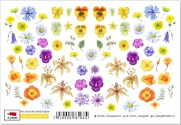 Наклейки с липким слоем Stickers «Surprise for Ann» (S-24) 7930098781884