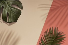 Фотофон  fn102 2094113763226