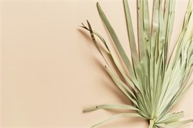 Фотофон  fn104 2059477179984