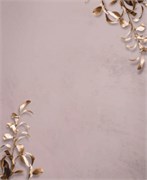 Фотофон  fn117 2042103557935