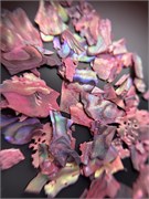 Набор ракушечника 002 2000000040882