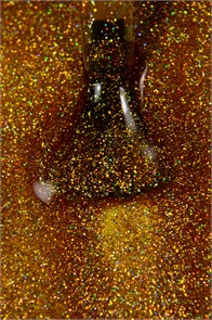 Гель-лак Lakres Golografic 2, 9 мл (110) 04850