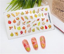 Слайдер wp0264 2067618924669