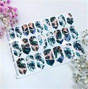 T442 ПЛЕНКИ 2000000029412