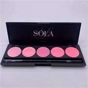 Гель-лак Palette 08 (Pink) SOLAlove, 25мл 2000000317571