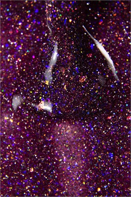 Гель- лак ILLUSION Aurora 4, 5 мл  (светоражаюший) 2000000004013