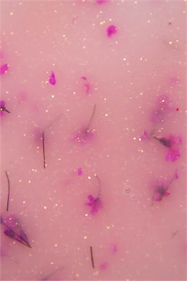 Гель Lakres Modeling Gel Flora Кэтрин, 15 мл 2000000075891