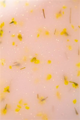Гель Lakres Modeling Gel Flora Жаклин, 15 мл 2000000075907