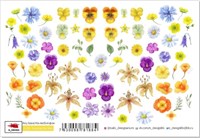 Наклейки с липким слоем Stickers «Surprise for Ann» (S-24) 7930098781884