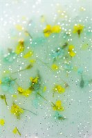 Гель Lakres Modeling Gel Flora  Одри, 15 мл 2000000075884