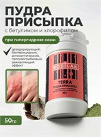 Rosilak Пудра-присыпка с бетулином и хлорофилом TERRA, 50г 4630012571562