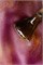Гель-лак Lakres Kumquat Cat Eye, 5 ml 2000000056586