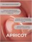 Тейпинг гель Apricot 30 гр 2000000028996