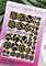 Пленки для педикюра Crazy Shine Nails #010 4607790940101