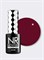 Nail Republic-200 Passion гель-лак, Красно-коричневый (10 мл) 2000000099125