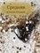 Топ Lakres Glitter Gold, 10 мл 2011939224298