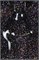Гель-лак Lakres "Знак зодика" Скорпион, 5 ml 2000000051581