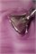 Гель-лак Lakres Blossom Cat eye 6, 5 мл 2000000067889