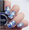 Пластина для стемпинга Swanky 011 4603745691098-1