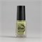 Swanky Stamping Лак для дизайна ногтей S62 фисташковое мороженое 6мл 7693733363882